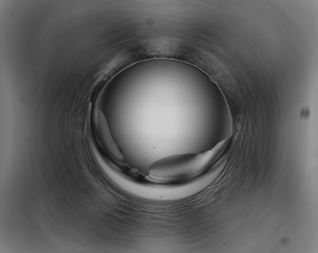 X0000098090168200804041228