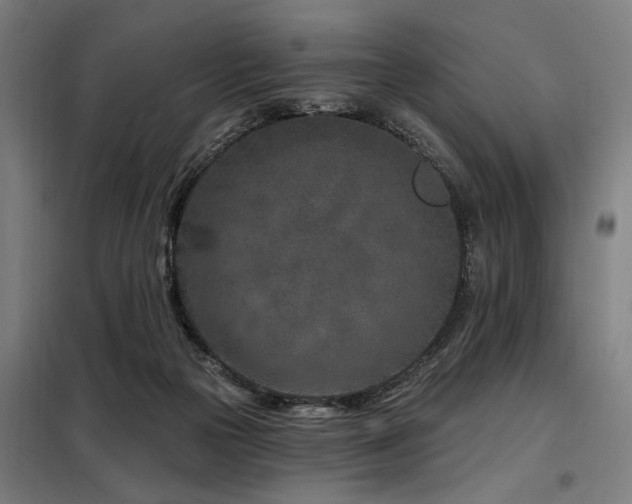 X0000098090169200804041228