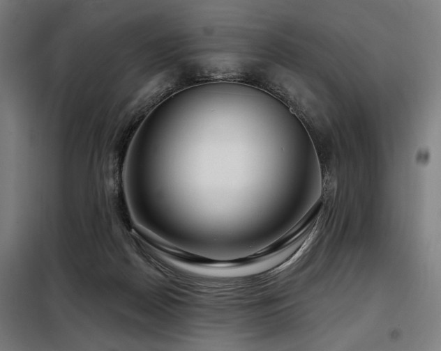 X0000098090170200804041228