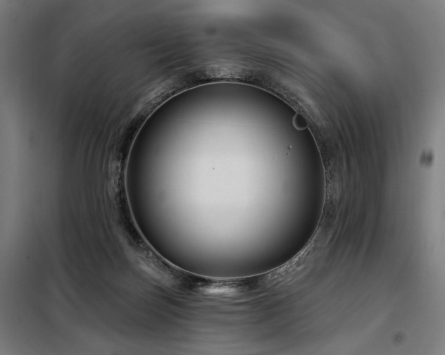 X0000098090171200804041228