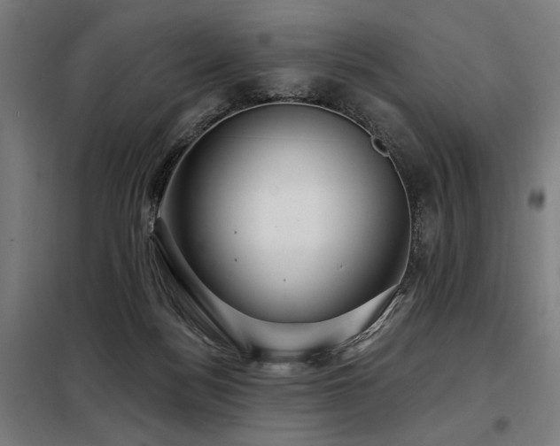X0000098090172200804041228
