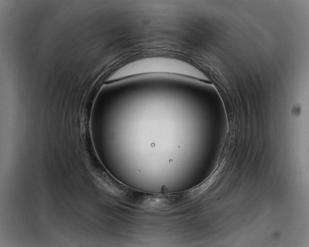 X0000098090174200804041228