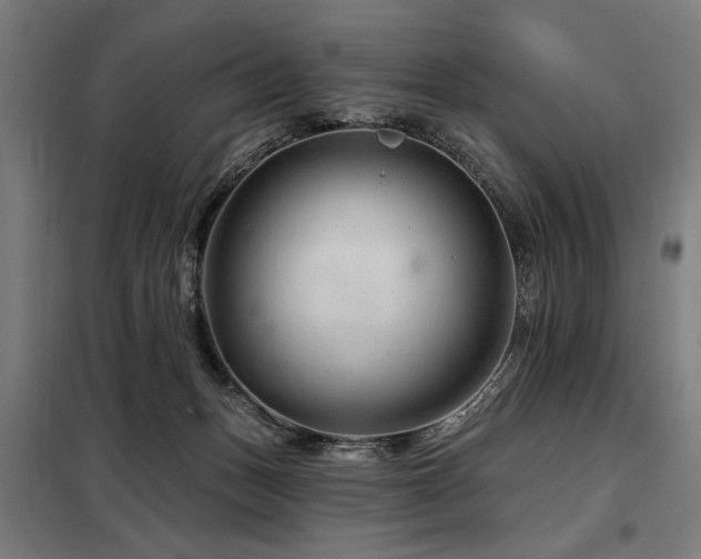 X0000098090175200804041228
