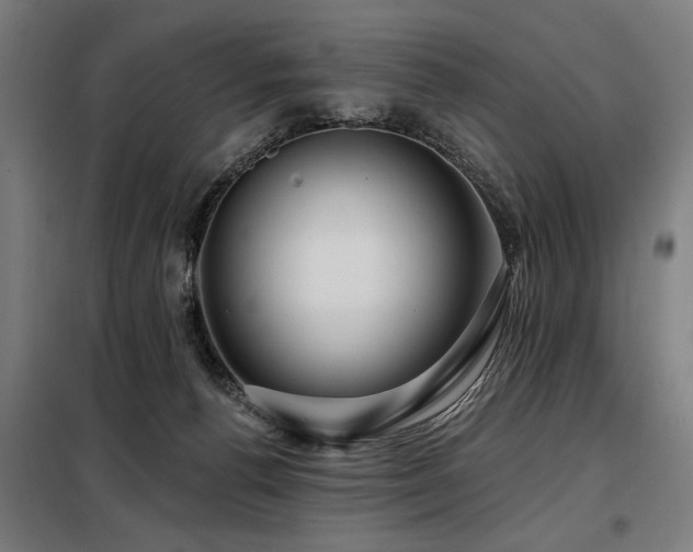 X0000098090176200804041228