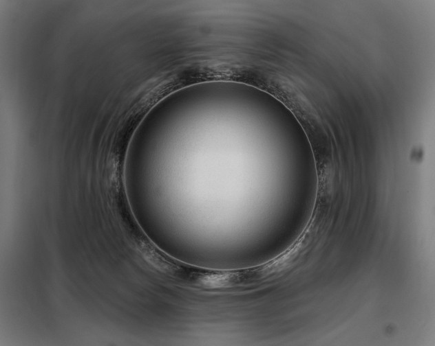 X0000098090178200804041228