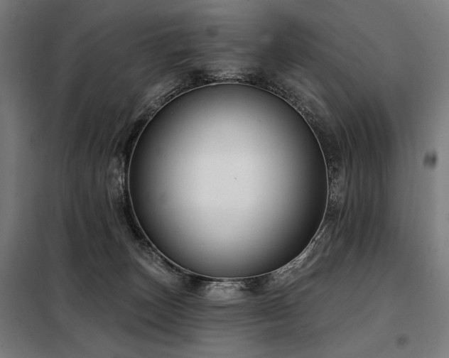 X0000098090179200804041228