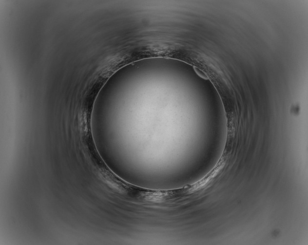 X0000098090182200804041229