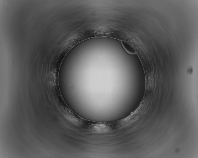 X0000098090183200804041229