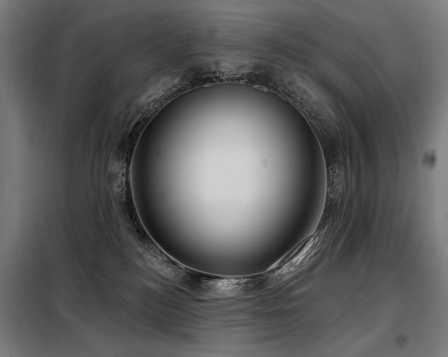 X0000098090184200804041229