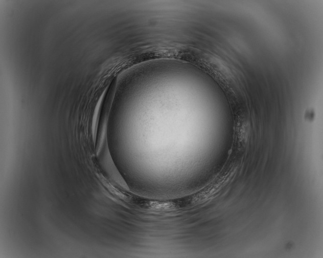 X0000098090185200804041229