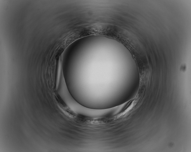 X0000098090186200804041229