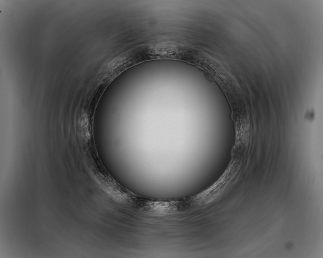 X0000098090187200804041229