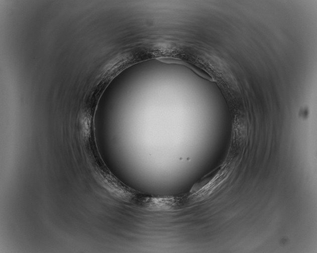 X0000098090188200804041229