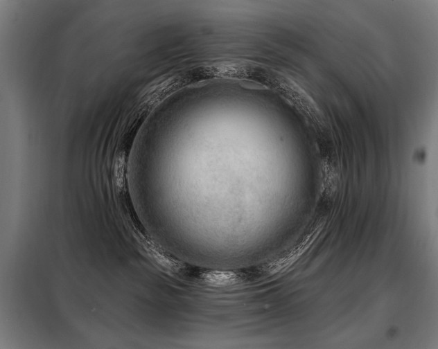 X0000098090189200804041229