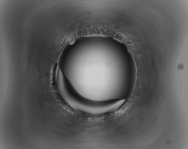 X0000098090192200804041229