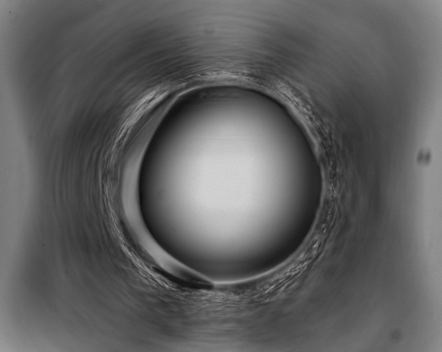 X0000098090193200804041228