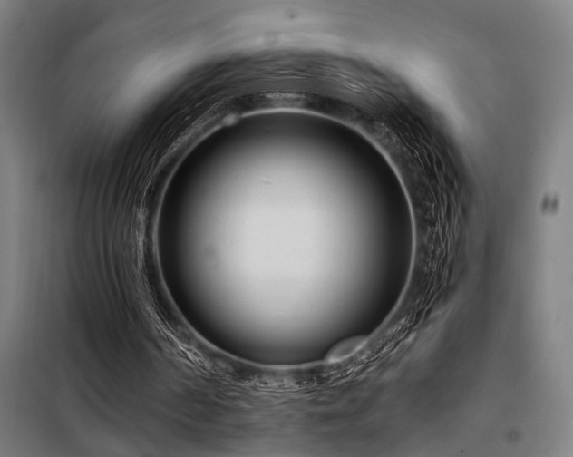 X0000098090194200804041228