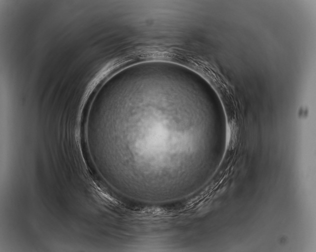X0000098090195200804041228