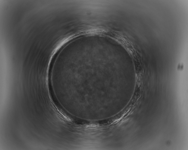 X0000098090196200804041228