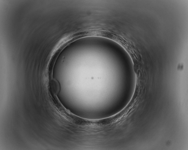 X0000098090198200804041228