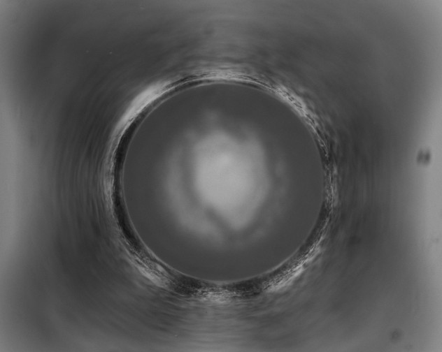 X0000098090199200804041228