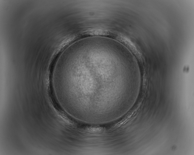 X0000098090202200804041228