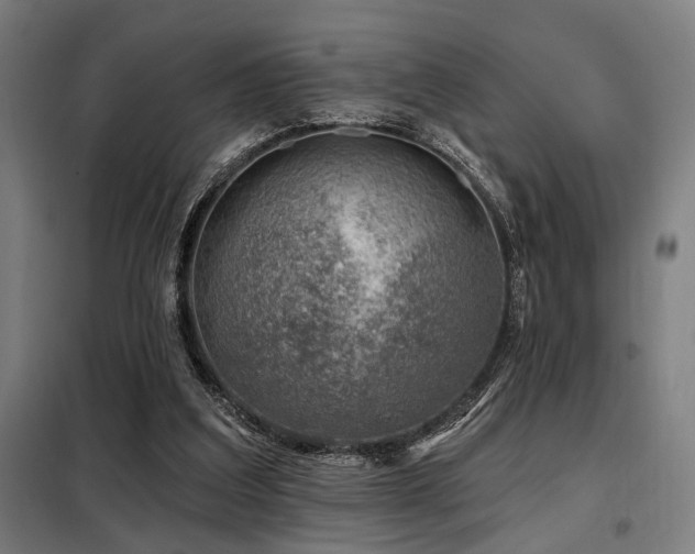 X0000098090203200804041228