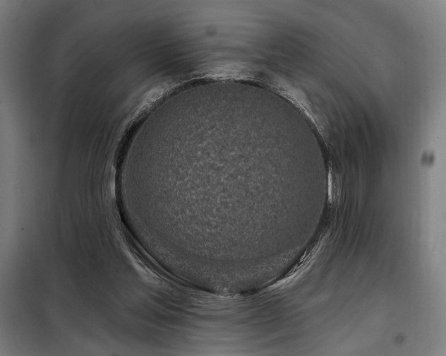X0000098090205200804041228