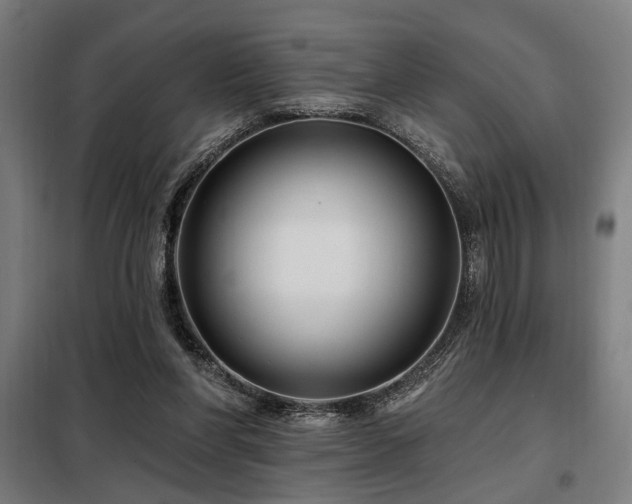 X0000098090206200804041228