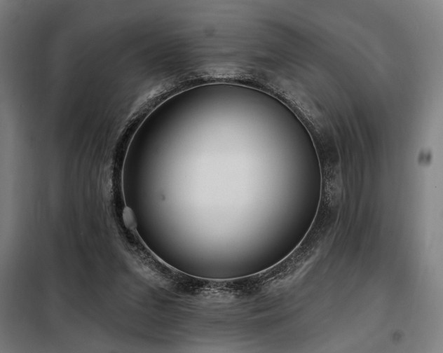 X0000098090207200804041228