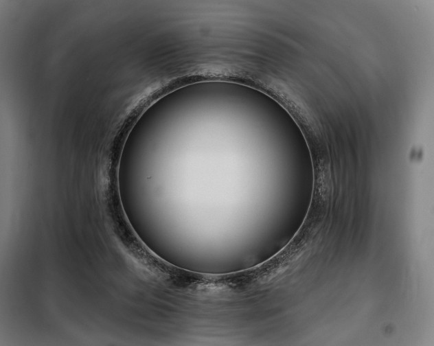 X0000098090208200804041228