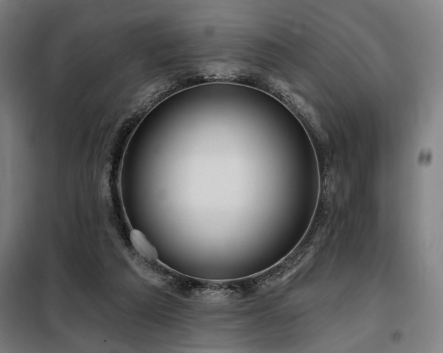 X0000098090209200804041228
