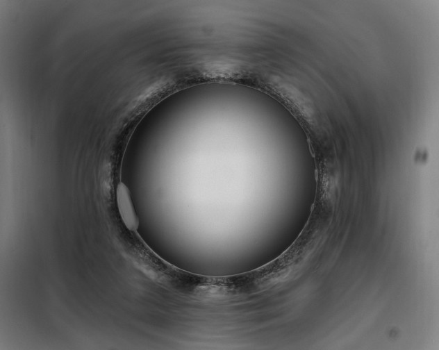 X0000098090211200804041228