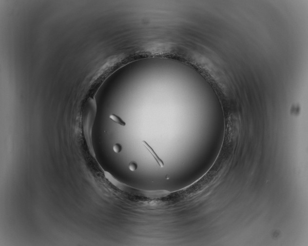 X0000098090212200804041228