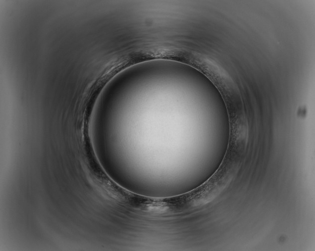 X0000098090214200804041228