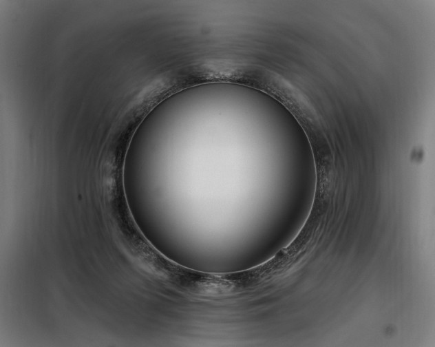X0000098090215200804041228