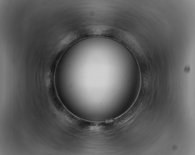 X0000098090216200804041228