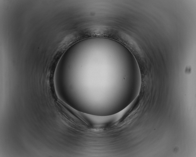 X0000098090217200804041227