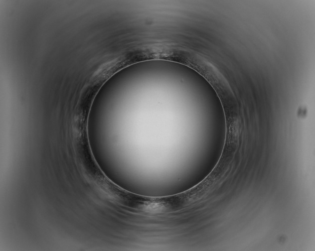 X0000098090218200804041227