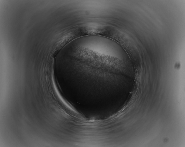 X0000098090219200804041227