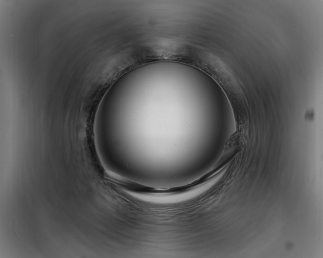 X0000098090221200804041227