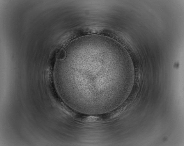 X0000098090222200804041227