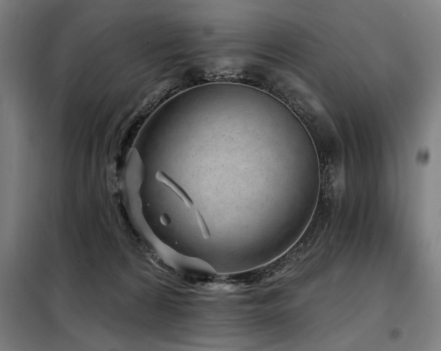 X0000098090224200804041227