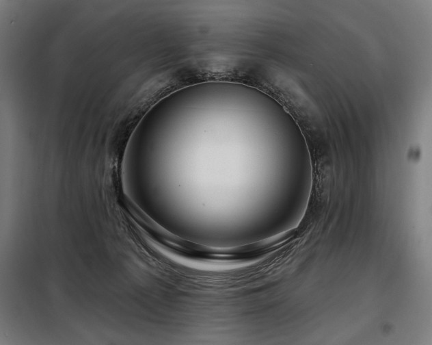 X0000098090225200804041227