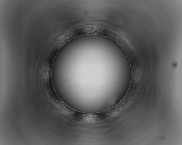 X0000098090226200804041227