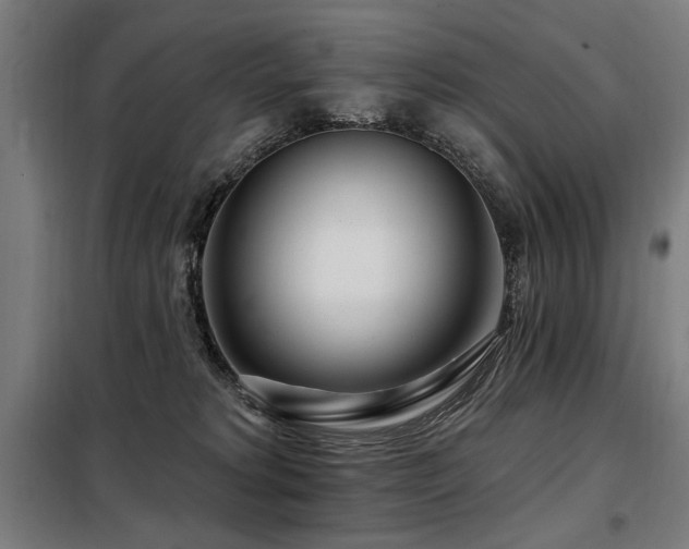 X0000098090229200804041227