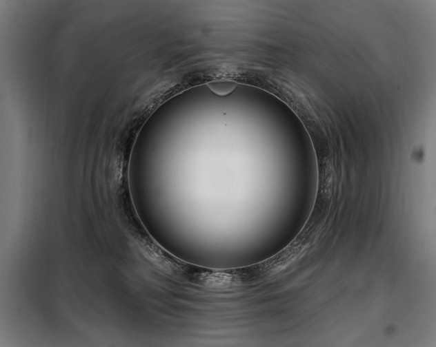 X0000098090230200804041227