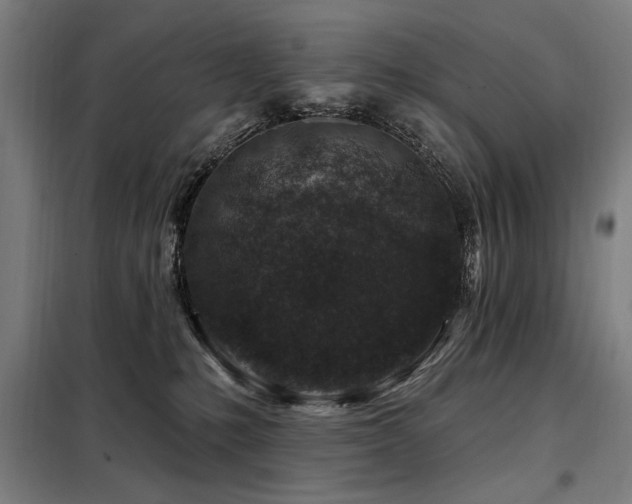 X0000098090231200804041227