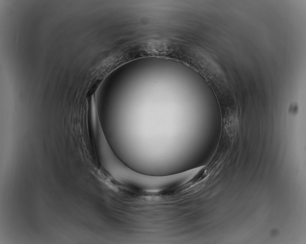 X0000098090233200804041227