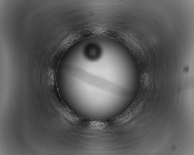 X0000098090234200804041227